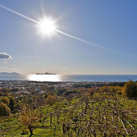 Tenuta Le Fornacelle Τόρρε ντελ Γκρέκο Εξωτερικό φωτογραφία