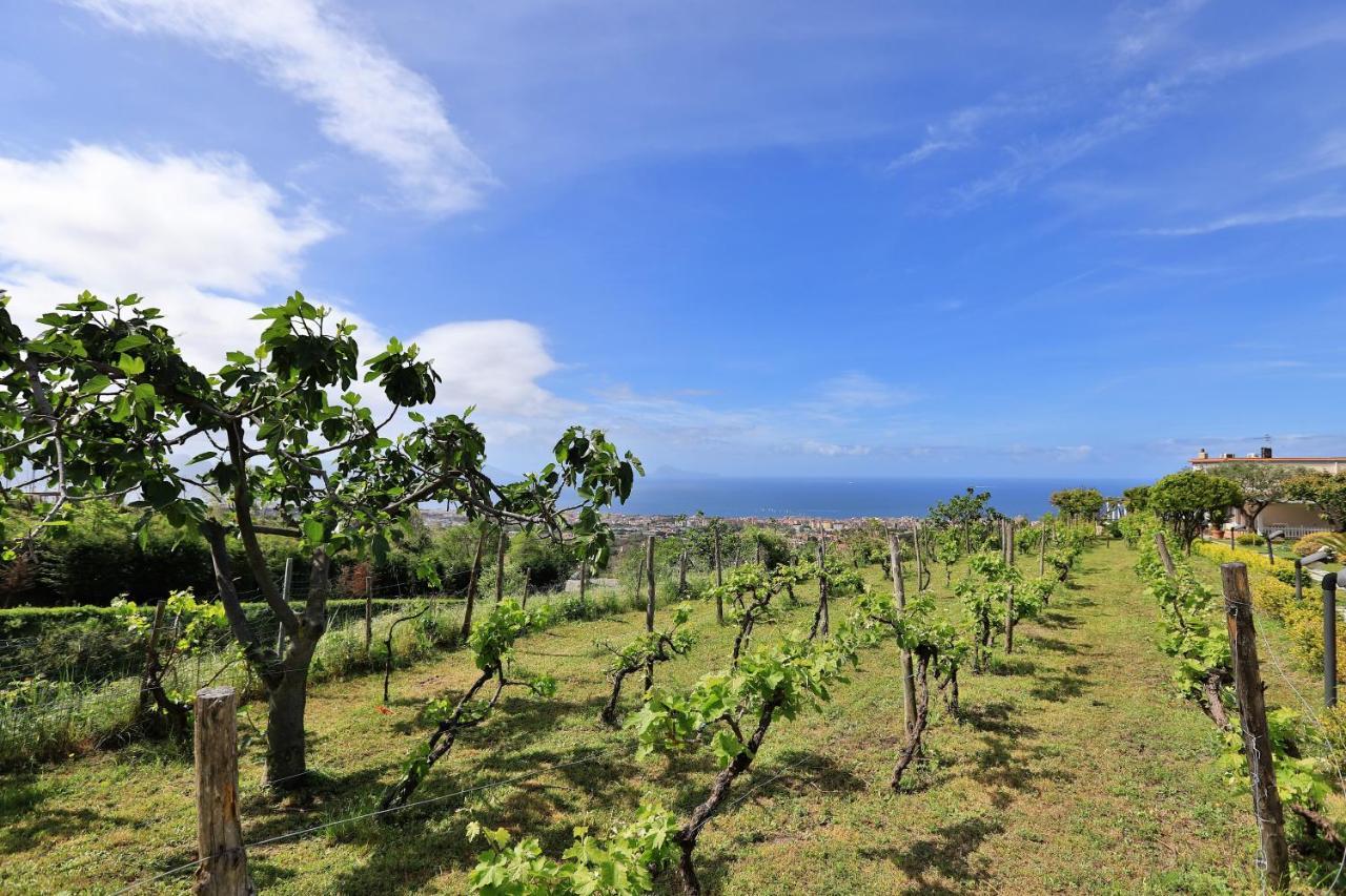 Tenuta Le Fornacelle Τόρρε ντελ Γκρέκο Εξωτερικό φωτογραφία