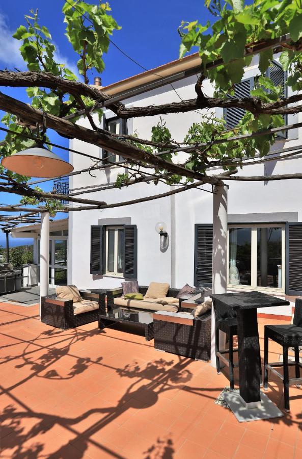 Tenuta Le Fornacelle Τόρρε ντελ Γκρέκο Εξωτερικό φωτογραφία
