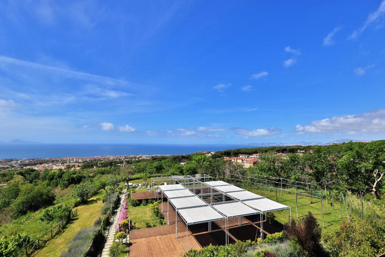 Tenuta Le Fornacelle Τόρρε ντελ Γκρέκο Εξωτερικό φωτογραφία