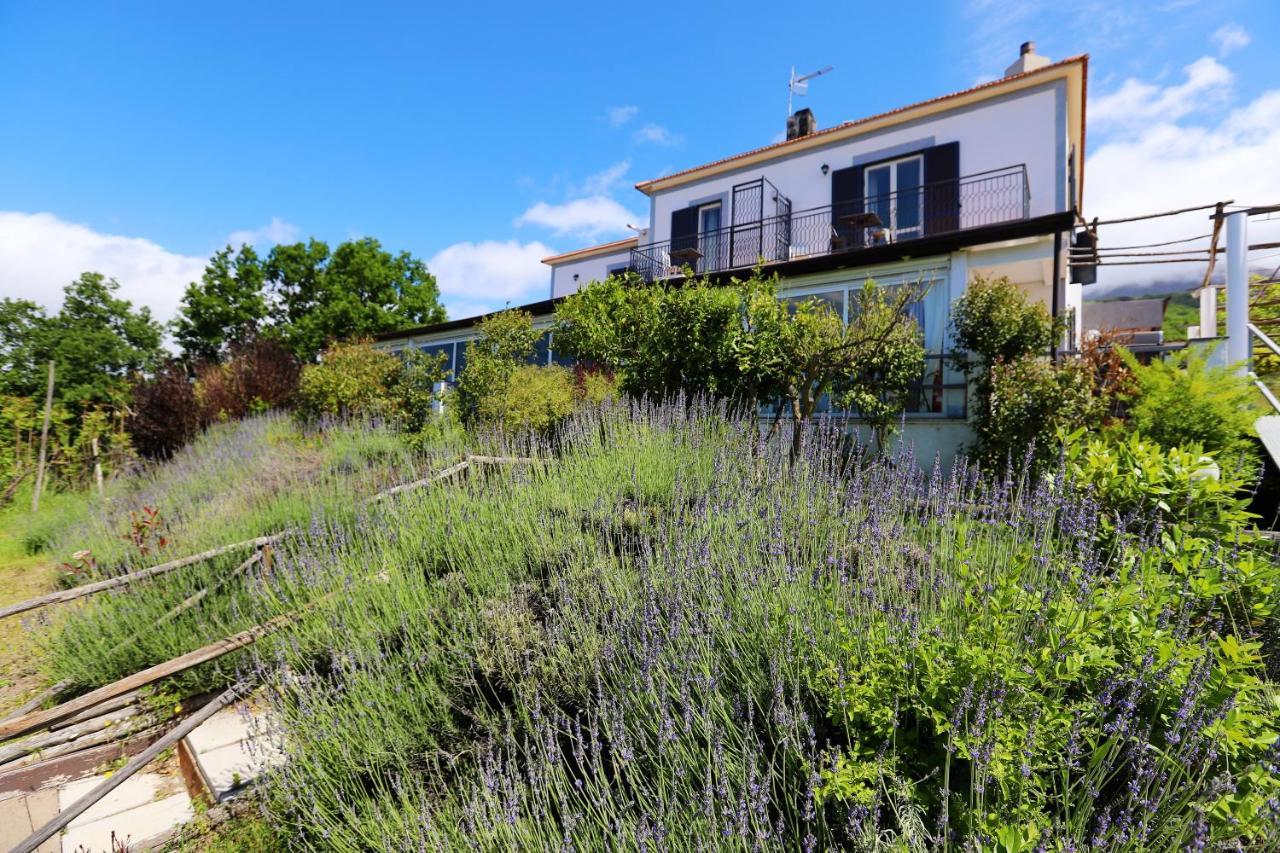 Tenuta Le Fornacelle Τόρρε ντελ Γκρέκο Εξωτερικό φωτογραφία